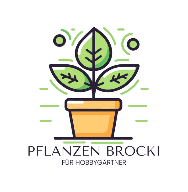 Pflanzen Brocki